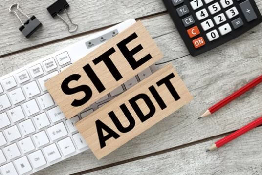 Site Audit