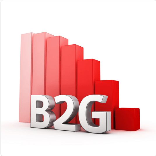 b2g ecommerce